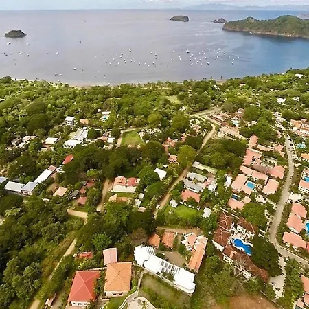 Coco Joya Condo - Pool With 180 Ocean View - All In Walking Distance